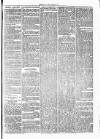 Clare Advertiser and Kilrush Gazette Saturday 26 August 1871 Page 3