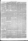 Clare Advertiser and Kilrush Gazette Saturday 09 September 1871 Page 3