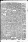Clare Advertiser and Kilrush Gazette Saturday 09 September 1871 Page 5