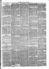 Clare Advertiser and Kilrush Gazette Saturday 21 October 1871 Page 3
