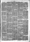 Clare Advertiser and Kilrush Gazette Saturday 04 November 1871 Page 7