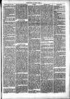 Clare Advertiser and Kilrush Gazette Saturday 18 November 1871 Page 5