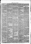 Clare Advertiser and Kilrush Gazette Saturday 25 November 1871 Page 3