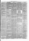 Clare Advertiser and Kilrush Gazette Saturday 02 December 1871 Page 5