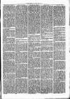 Clare Advertiser and Kilrush Gazette Saturday 30 December 1871 Page 5
