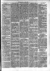 Clare Advertiser and Kilrush Gazette Saturday 06 January 1872 Page 5