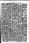 Clare Advertiser and Kilrush Gazette Saturday 13 January 1872 Page 7