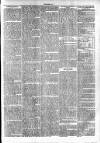 Clare Advertiser and Kilrush Gazette Saturday 20 January 1872 Page 7