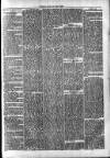 Clare Advertiser and Kilrush Gazette Saturday 10 February 1872 Page 3