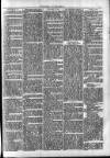 Clare Advertiser and Kilrush Gazette Saturday 10 February 1872 Page 5