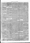 Clare Advertiser and Kilrush Gazette Saturday 24 February 1872 Page 3