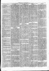 Clare Advertiser and Kilrush Gazette Saturday 24 February 1872 Page 5