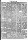 Clare Advertiser and Kilrush Gazette Saturday 02 March 1872 Page 3