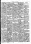 Clare Advertiser and Kilrush Gazette Saturday 02 March 1872 Page 5