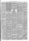 Clare Advertiser and Kilrush Gazette Saturday 09 March 1872 Page 5