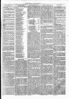 Clare Advertiser and Kilrush Gazette Saturday 16 March 1872 Page 5