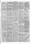 Clare Advertiser and Kilrush Gazette Saturday 16 March 1872 Page 7