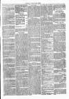 Clare Advertiser and Kilrush Gazette Saturday 23 March 1872 Page 3