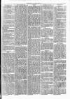 Clare Advertiser and Kilrush Gazette Saturday 23 March 1872 Page 5