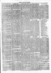 Clare Advertiser and Kilrush Gazette Saturday 30 March 1872 Page 3