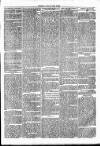 Clare Advertiser and Kilrush Gazette Saturday 06 April 1872 Page 3