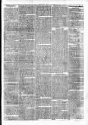 Clare Advertiser and Kilrush Gazette Saturday 13 April 1872 Page 7