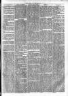 Clare Advertiser and Kilrush Gazette Saturday 27 April 1872 Page 5