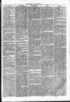 Clare Advertiser and Kilrush Gazette Saturday 04 May 1872 Page 5