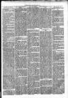 Clare Advertiser and Kilrush Gazette Saturday 18 May 1872 Page 5