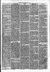 Clare Advertiser and Kilrush Gazette Saturday 01 June 1872 Page 5