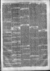 Clare Advertiser and Kilrush Gazette Saturday 22 June 1872 Page 3