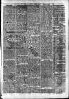 Clare Advertiser and Kilrush Gazette Saturday 22 June 1872 Page 7