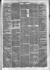 Clare Advertiser and Kilrush Gazette Saturday 29 June 1872 Page 5