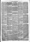 Clare Advertiser and Kilrush Gazette Saturday 03 August 1872 Page 3