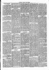 Clare Advertiser and Kilrush Gazette Saturday 21 September 1872 Page 3