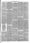 Clare Advertiser and Kilrush Gazette Saturday 21 September 1872 Page 5
