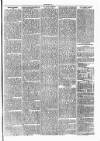 Clare Advertiser and Kilrush Gazette Saturday 21 September 1872 Page 7