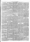 Clare Advertiser and Kilrush Gazette Saturday 28 September 1872 Page 3