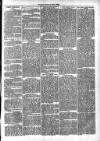 Clare Advertiser and Kilrush Gazette Saturday 05 October 1872 Page 3