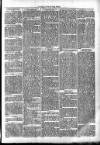 Clare Advertiser and Kilrush Gazette Saturday 12 October 1872 Page 3