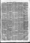 Clare Advertiser and Kilrush Gazette Saturday 12 October 1872 Page 7