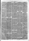 Clare Advertiser and Kilrush Gazette Saturday 19 October 1872 Page 5