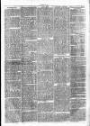 Clare Advertiser and Kilrush Gazette Saturday 26 October 1872 Page 7