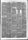 Clare Advertiser and Kilrush Gazette Saturday 09 November 1872 Page 5