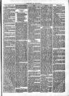 Clare Advertiser and Kilrush Gazette Saturday 16 November 1872 Page 5