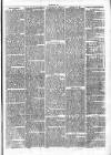 Clare Advertiser and Kilrush Gazette Saturday 16 November 1872 Page 7