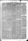 Clare Advertiser and Kilrush Gazette Saturday 04 January 1873 Page 3