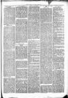 Clare Advertiser and Kilrush Gazette Saturday 04 January 1873 Page 5