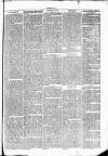 Clare Advertiser and Kilrush Gazette Saturday 04 January 1873 Page 7