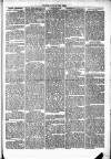 Clare Advertiser and Kilrush Gazette Saturday 11 January 1873 Page 3